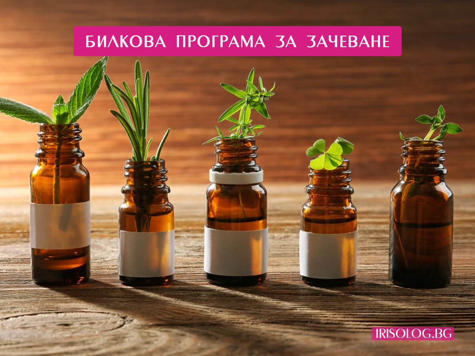 Билковата програма за зачеване