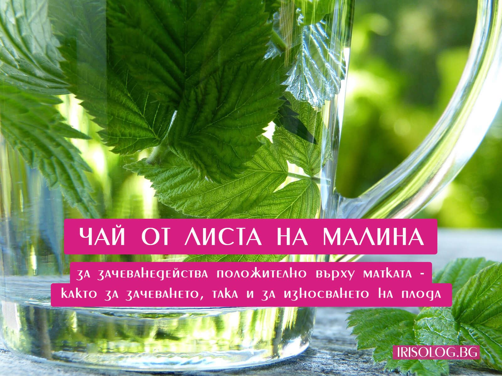 Чай от листа на малина за зачеване