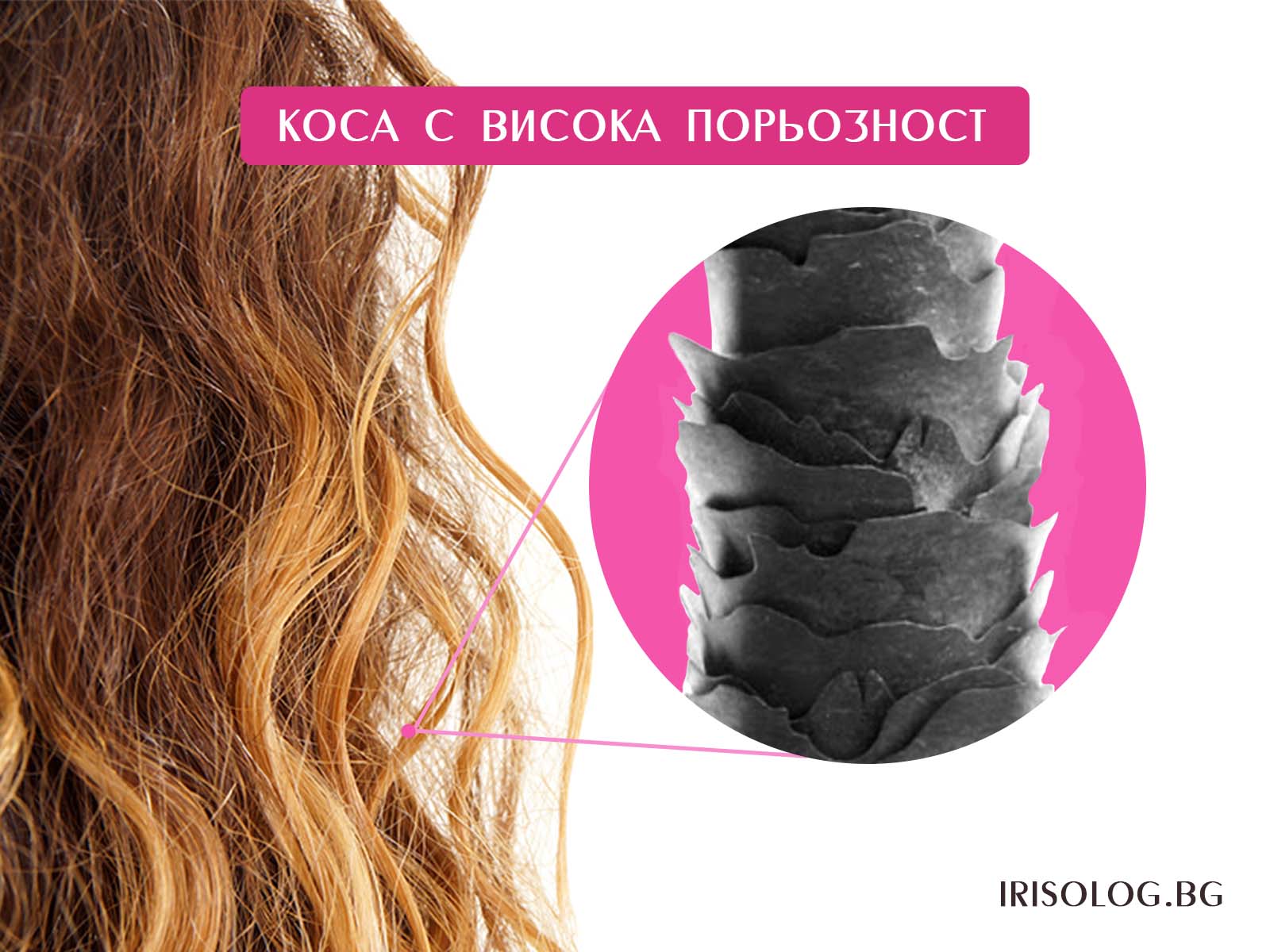 Какво е коса с висока порьозност