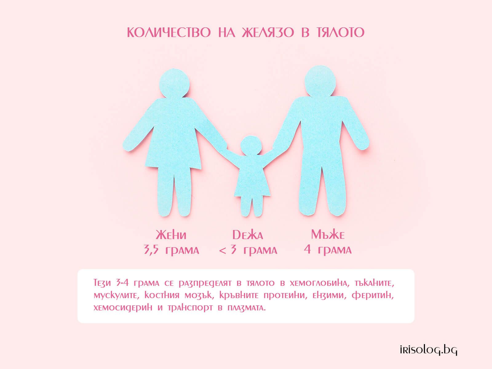 Колко желязо се съхранява в тялото