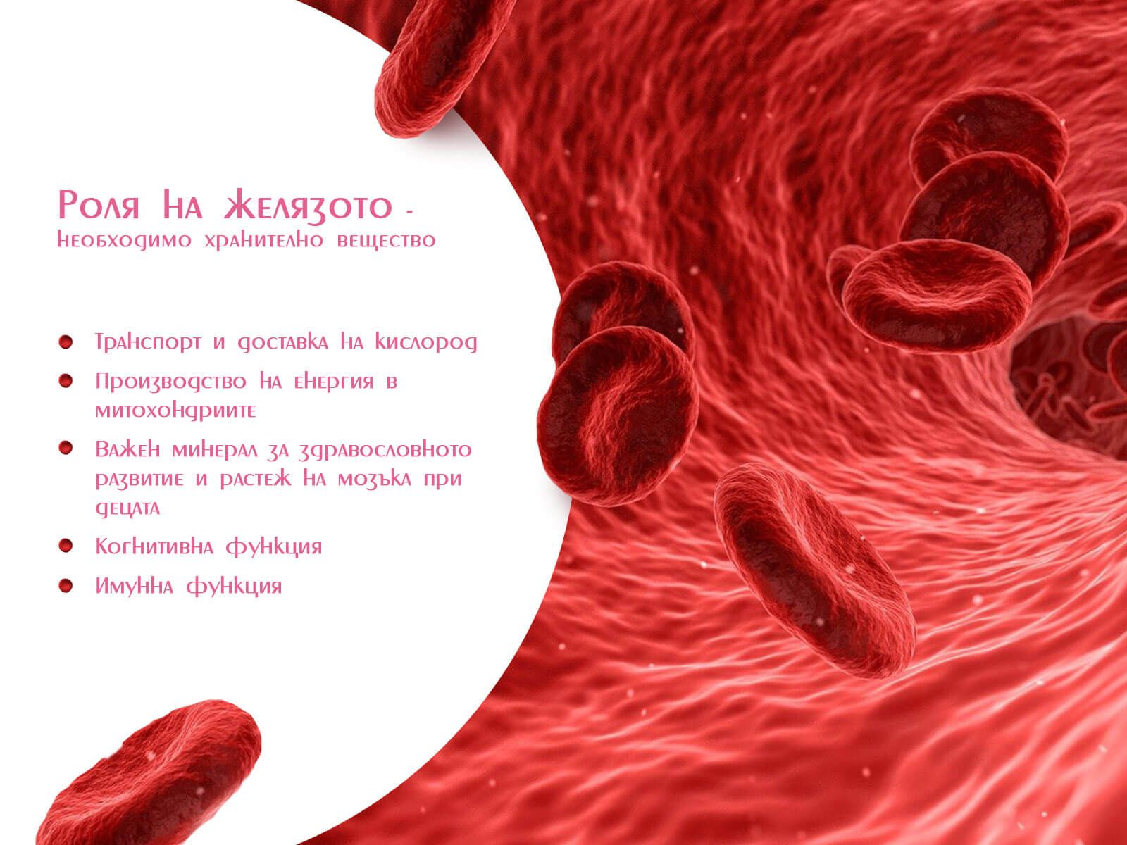 Роля на желязото необходимо хранително вещество