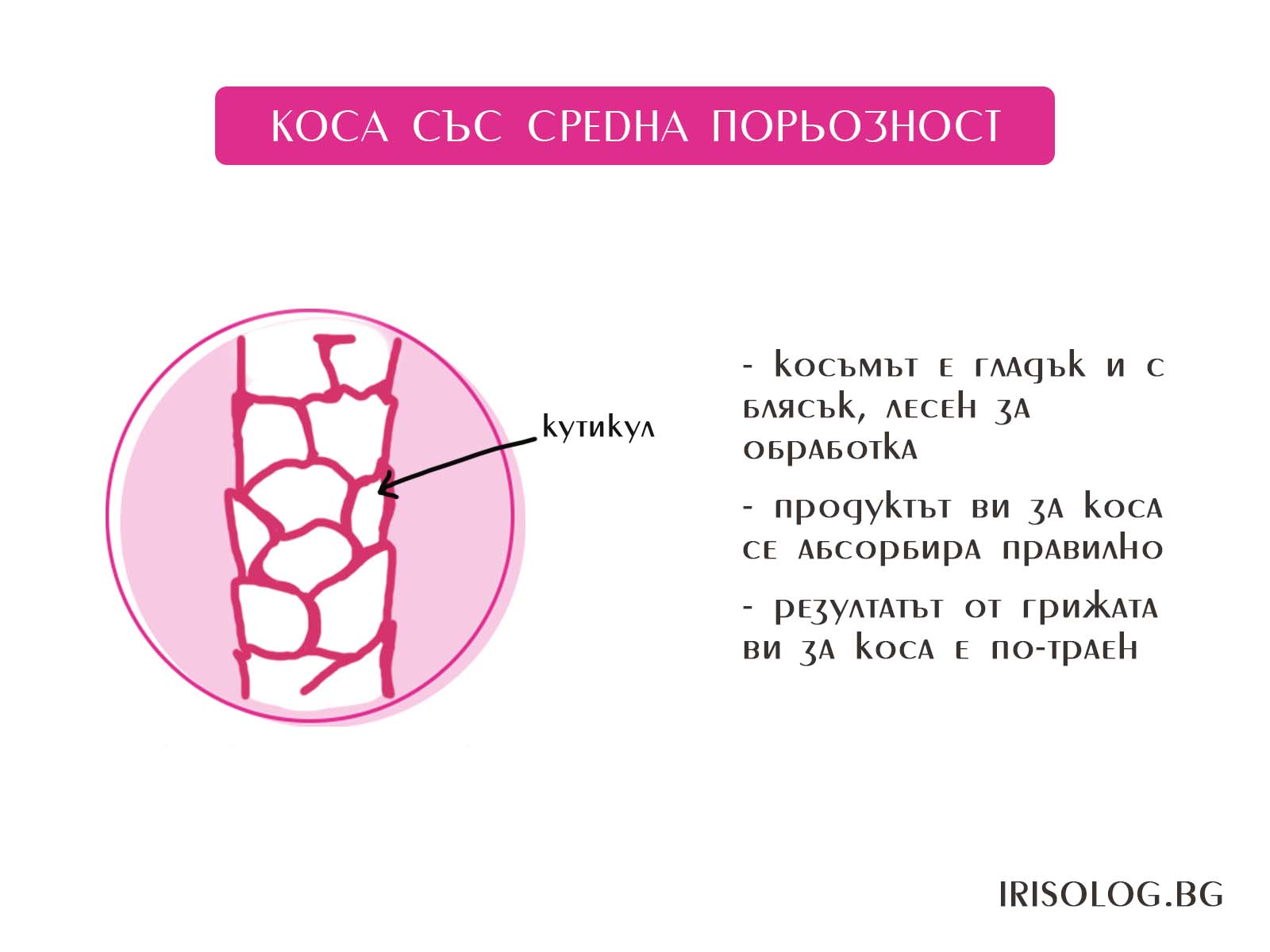 Средна порьозност на косата
