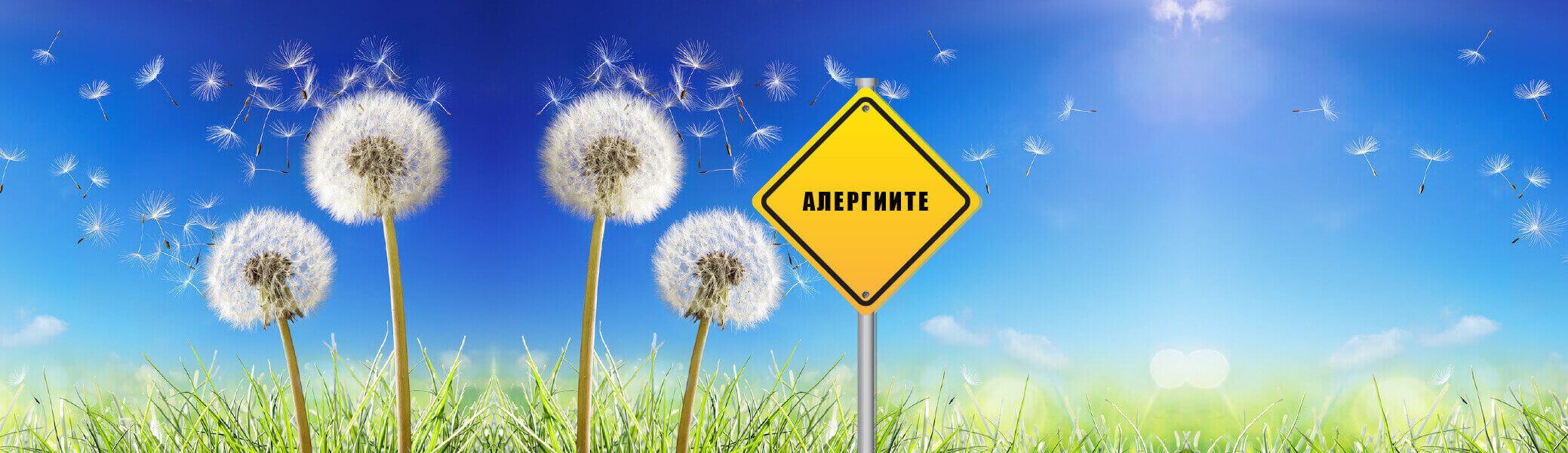 АЛЕРГИИТЕ - ИМА ЛИ ЛЕК СРЕЩУ ТЯХ?