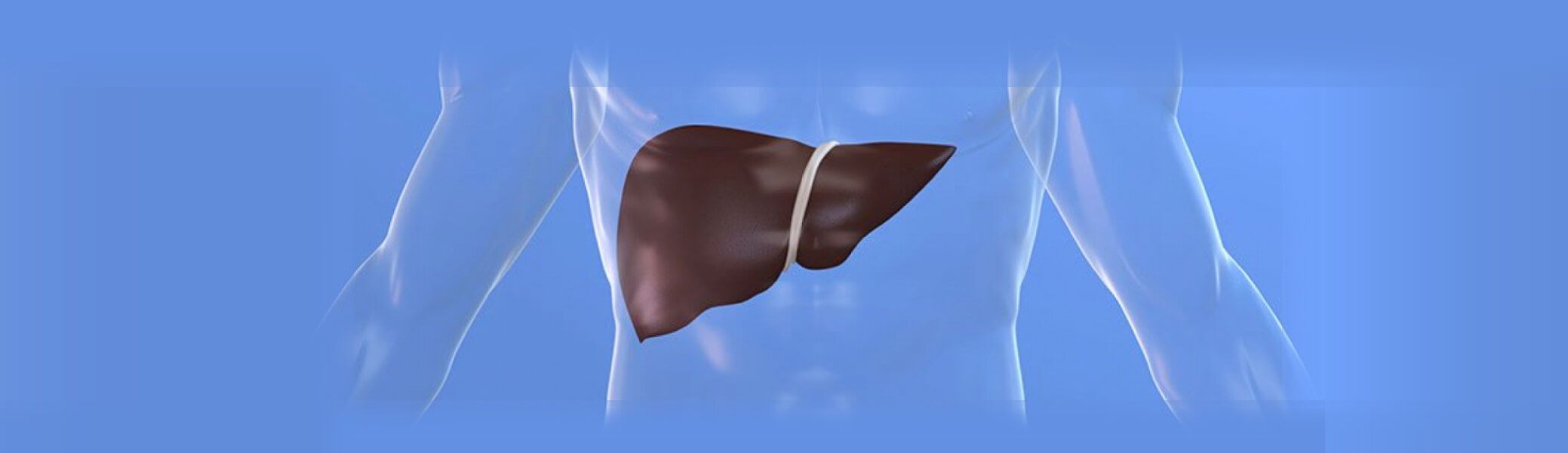 БОЛЕН ЧЕРЕН ДРОБ