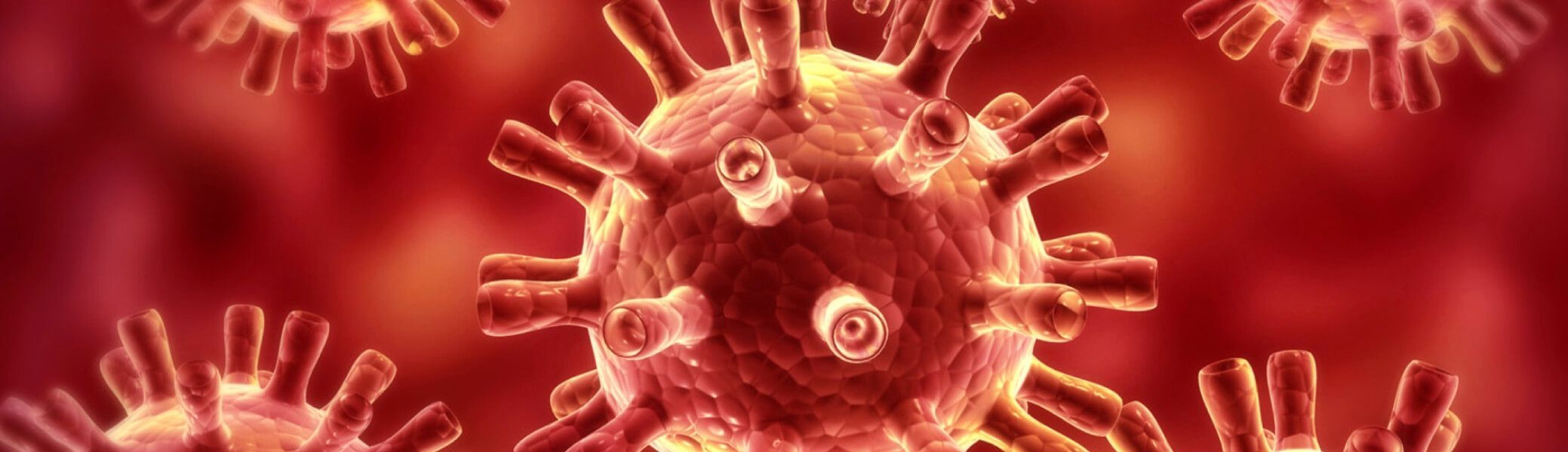 КОРОНАВИРУС