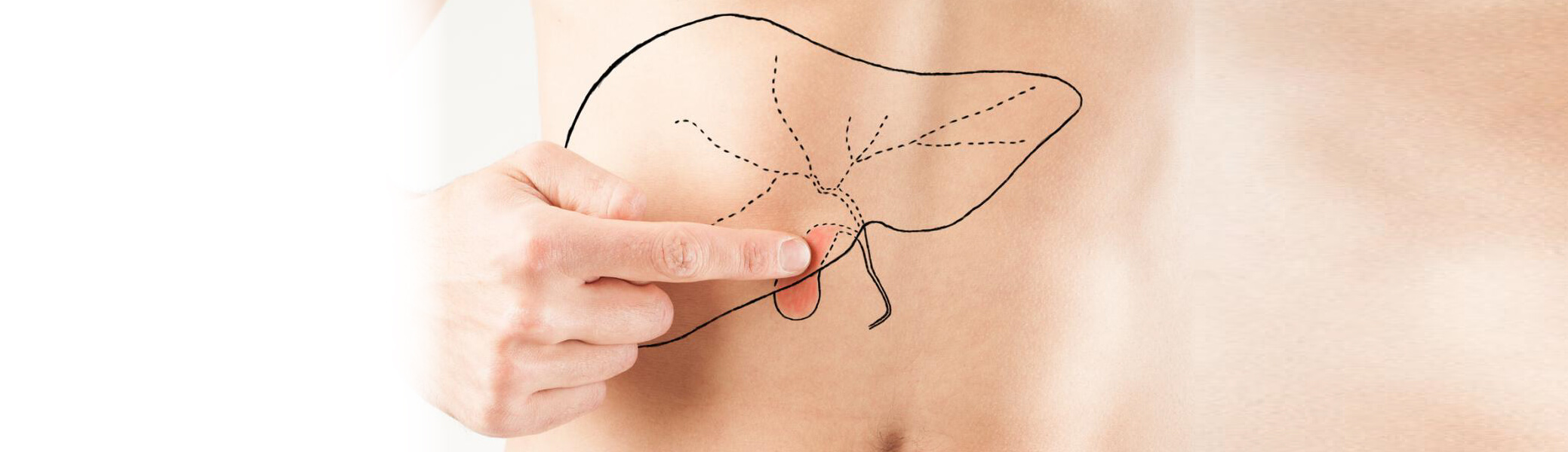 ПРОБЛЕМИ С ЖЛЪЧКАТА - ЗАЩО СЕ ПОЯВЯВАТ И КАК ДА ГИ РЕШИМ