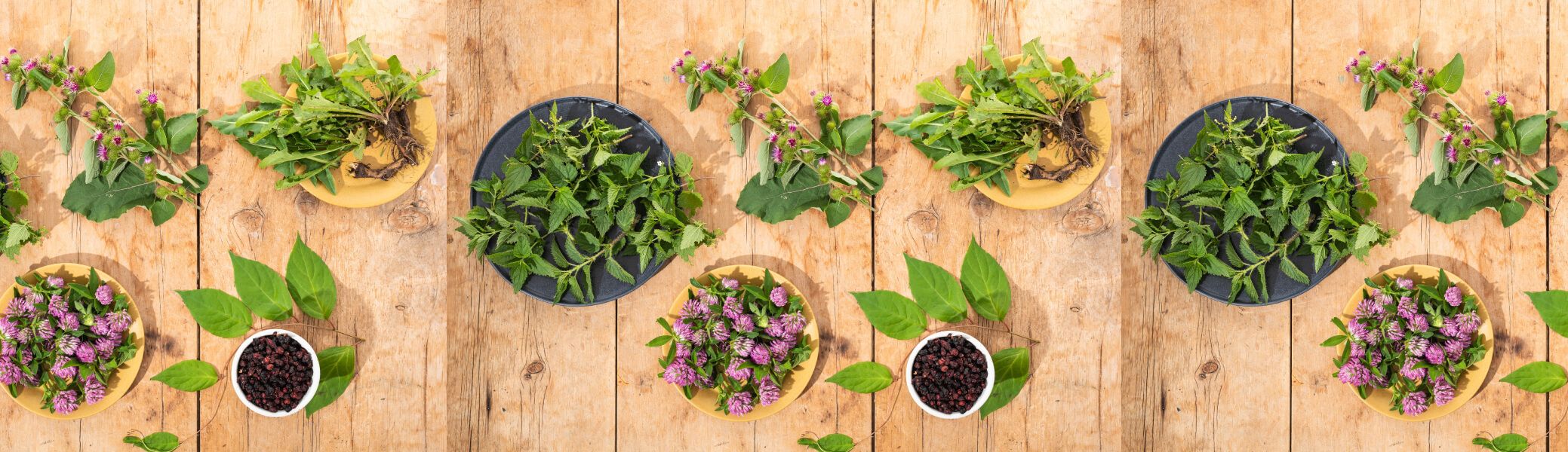 ЗАЩО ДА ИЗБЕРЕМ БИЛКОЛЕЧЕНИЕТО